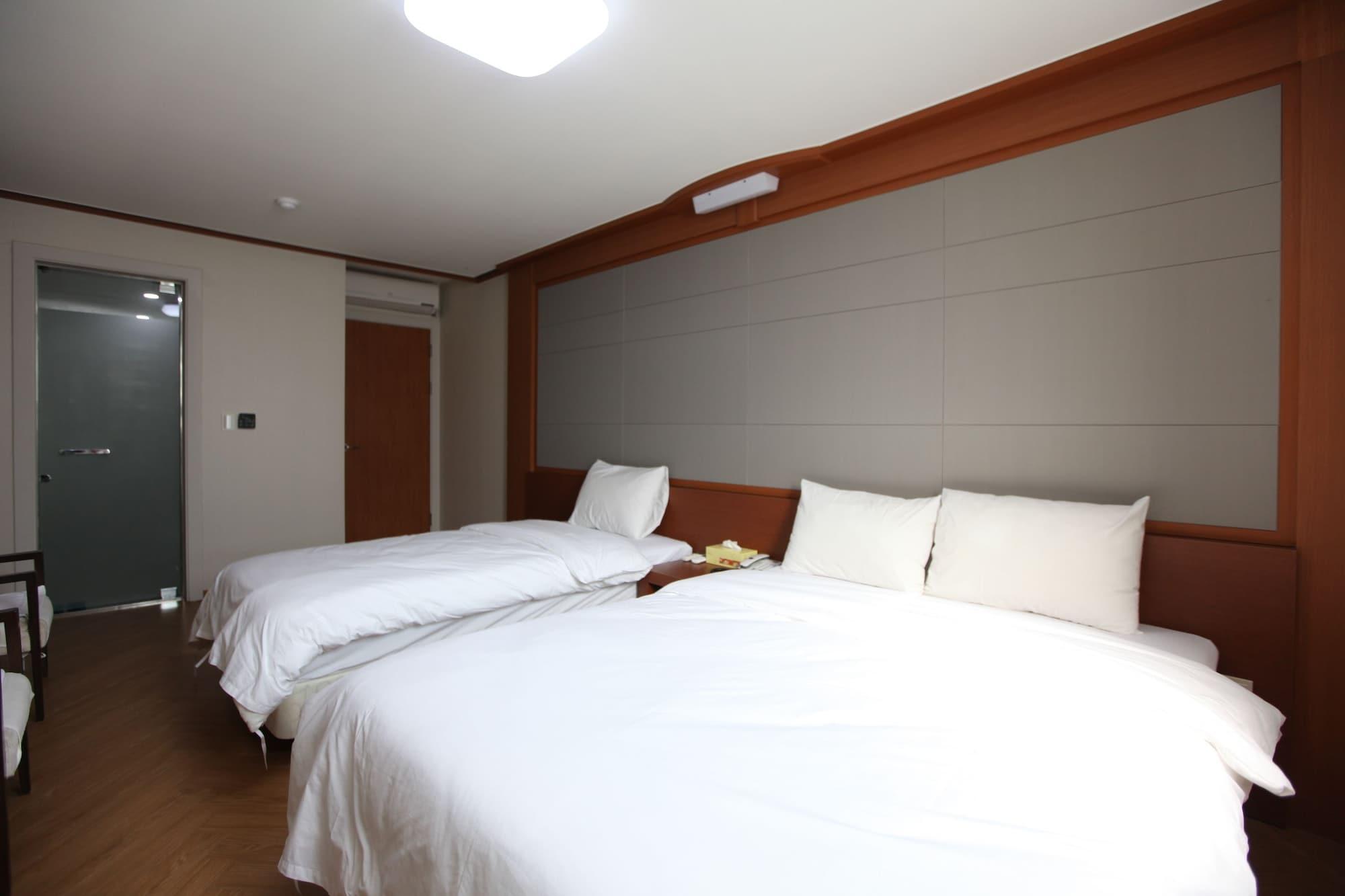 Hotel Airtel 3*